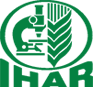 małe logo eb2b